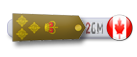 Brigadier Brigadier