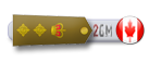 Colonel Colonel