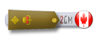Lieutenant-Colonel Lieutenant-Colonel