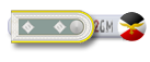 Oberfeldwebel