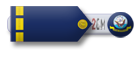 Chief Warrant Officer Chief Warrant Officer